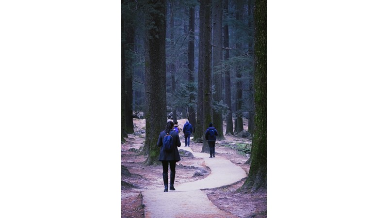 Başkalarının Peşinden Gitmek – Friendz10