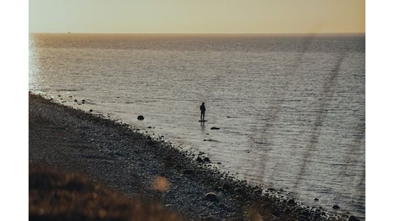 İnsanların Ayrışması