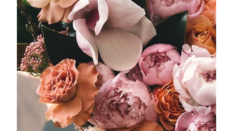 Duyguların Gösterilmesi