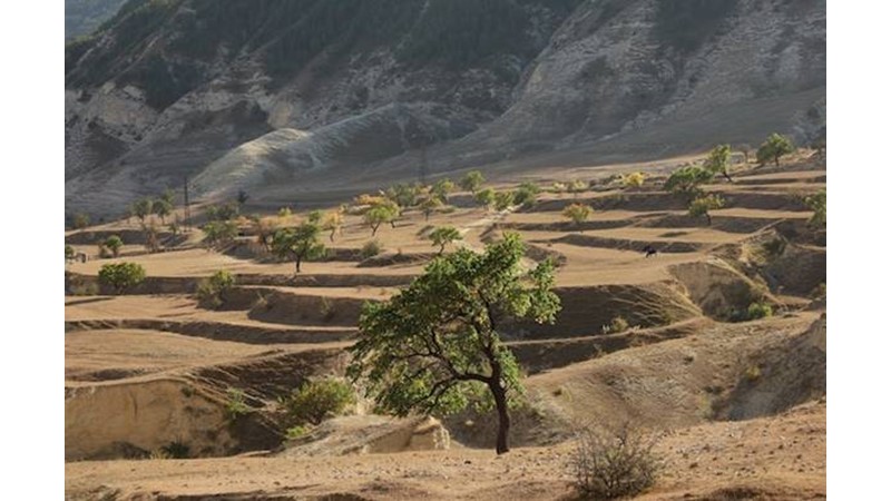 Mesele Şehrin Hakimiyetinden Çıktı – Friendz10