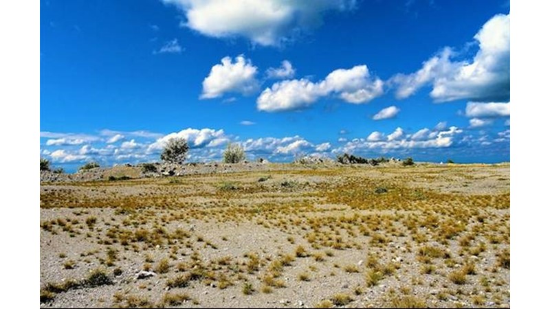 Kuzey Kaybedildi