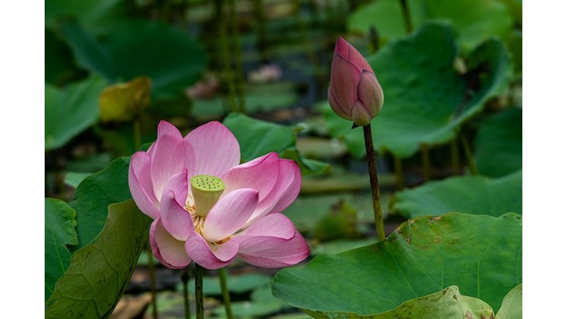 Değişime Hükmetmek – Friendz10