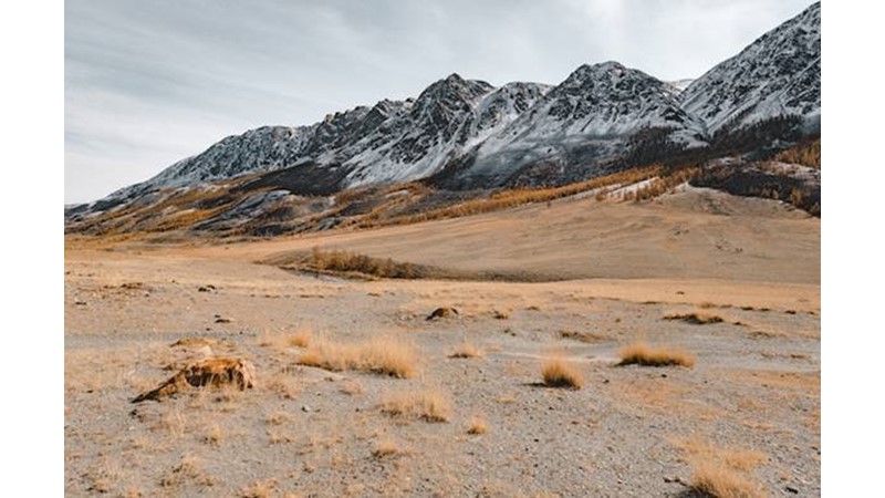 Ağır Süvari Zaferi
