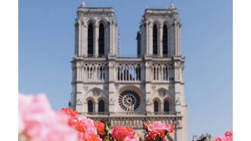 Tüm Alan Kullanılmadı