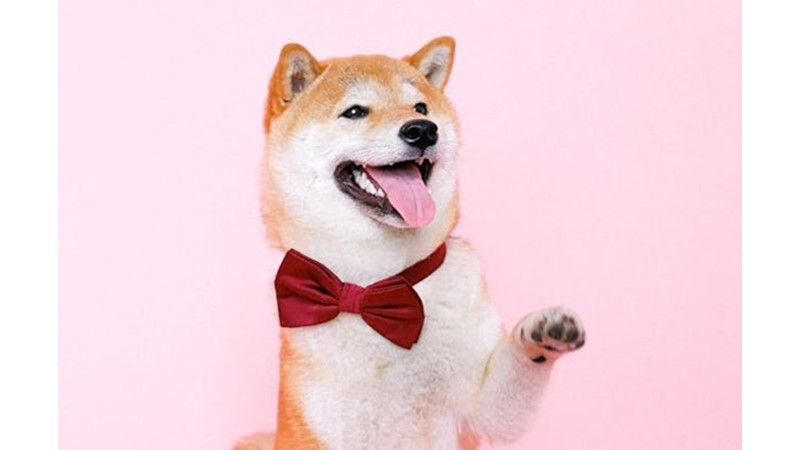 Düşük Mizah Seviyesi - Friendz10