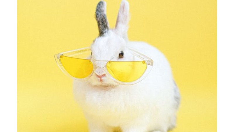 Düşük Mizah Seviyesi - Friendz10