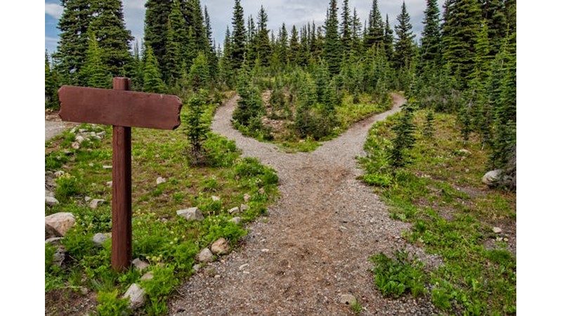 Sonunda Herkes Kendi Yoluna Gidiyor