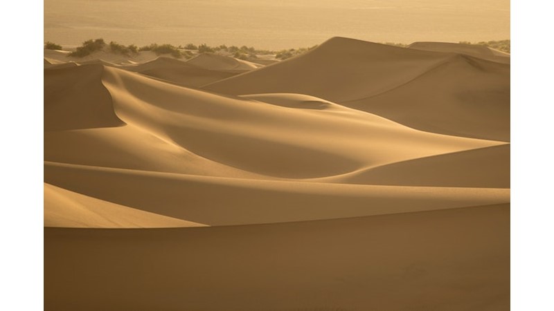 İmparator Değişimi Savaş Başlattı – Friendz10