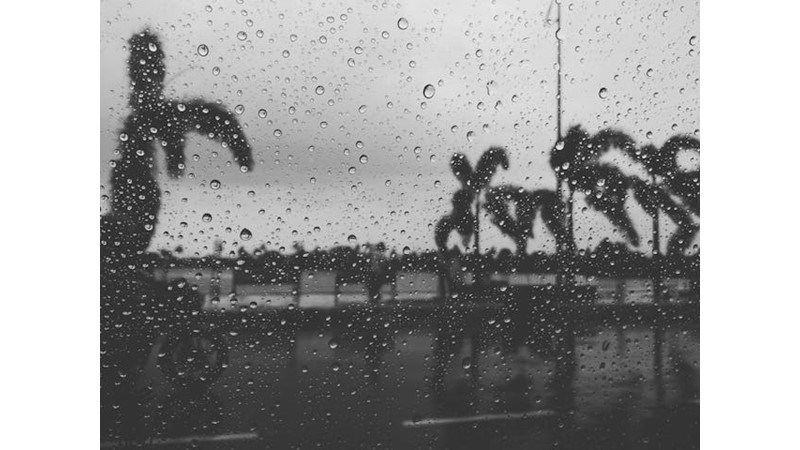 Yağmurlu Bir Günün Güzel Olabilmesi