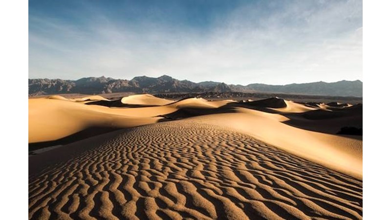 Verilen Sözden Kurtulma Çabası Başladı – Friendz10