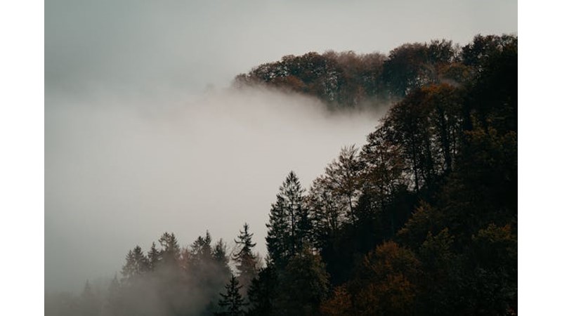 Ordu İyi Değil