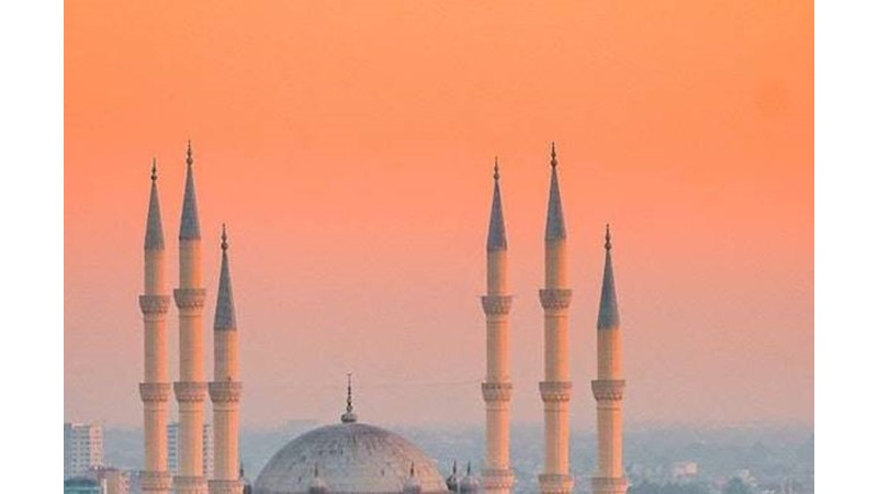 Yönetim Kargaşası