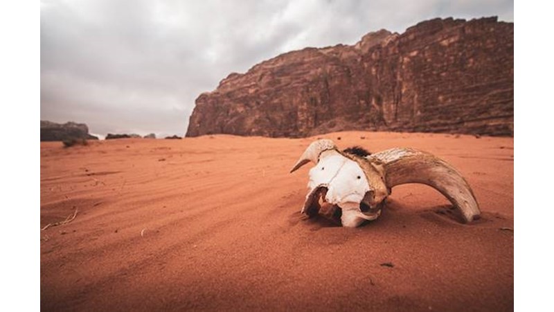 Artık Çarpışmaktan Başka Bir Seçenek Kalmadı – Friendz10
