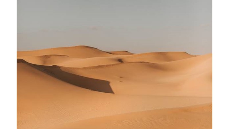 Hala Şehir için Mücadele Sürüyor – Friendz10