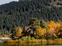 Abant Gölü Milli Parkı – Bolu