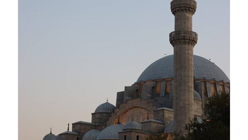 Sınıra Yerleşti