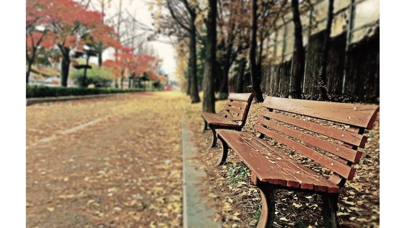 Sessiz Bir Gün – Friendz10