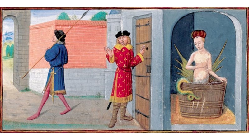 YARI YILAN YARI KADIN