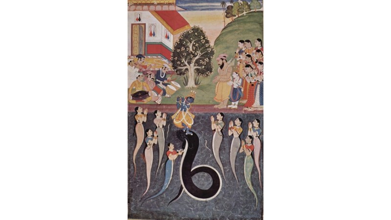 ŞİRRET YILAN: KALİYA