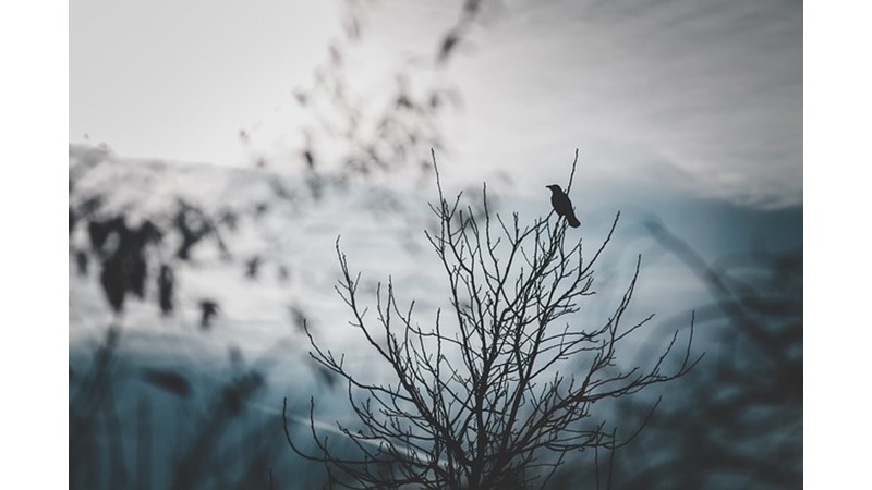 DEHB Genetik Olabilir Mi?