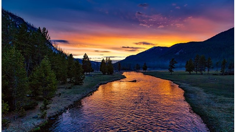 Su Kirliliği ve Su Kaynakları (V)