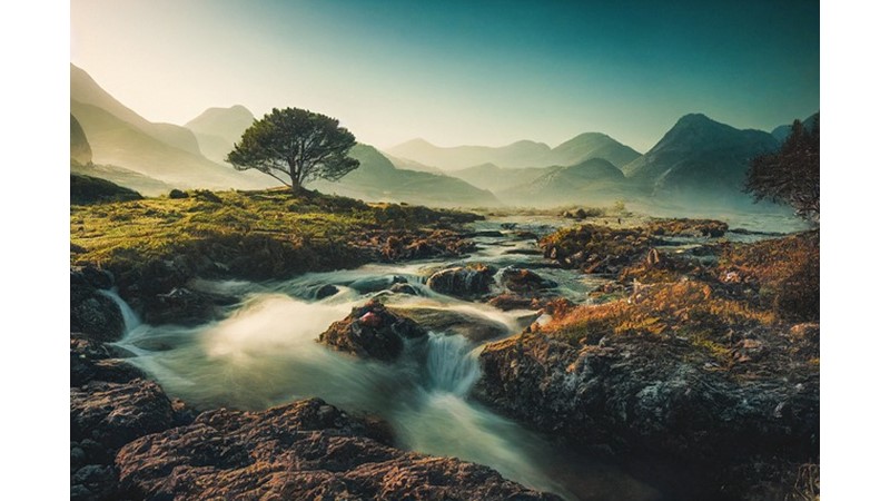 Vahşi Karadam Yeti mi Yoksa Goril Mi?