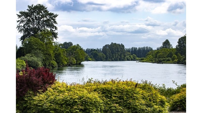 Avrupa’da Osmanlı-Türk İmajı (III)