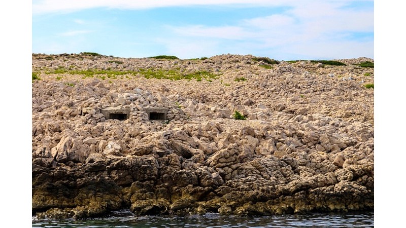 Padişahlığın Zorlanması
