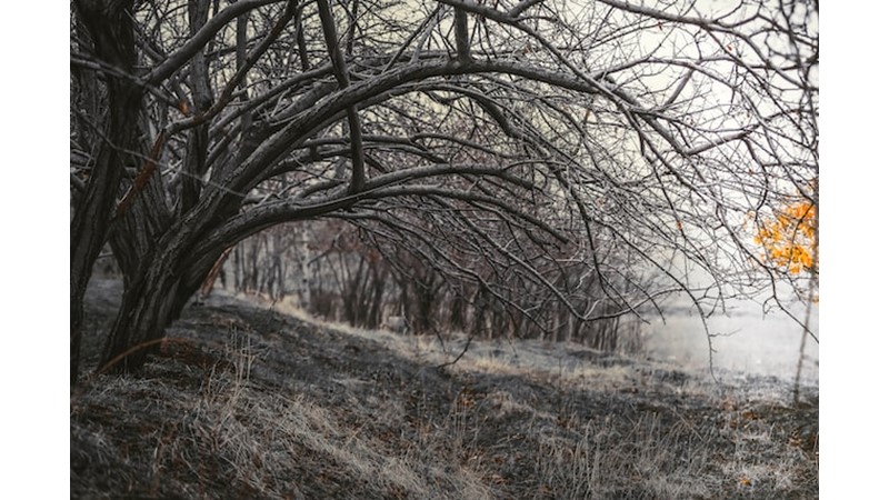 İlimizin adı nereden geliyor? MUŞ