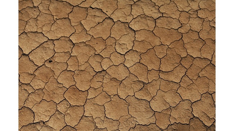 Nazca'nın Sırrı (II)