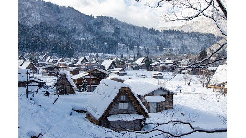 RAVİKA (V) - Friendz10