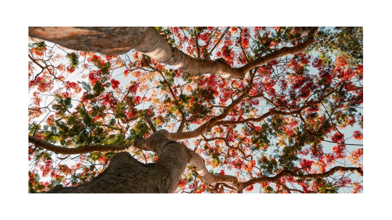 ŞİİR ZAMANI: ÜÇ KEZ SENİ SEVİYORUM DİYE UYANDIM -Friendz10