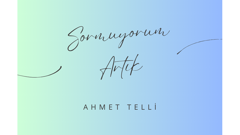 "SORMUYORUM ARTIK" -AHMET TELLİ
