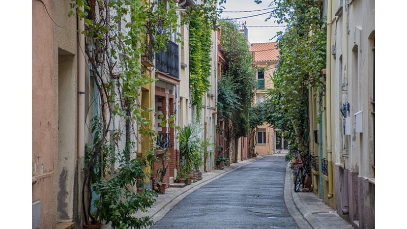 RAVİKA (IV) - Friendz10