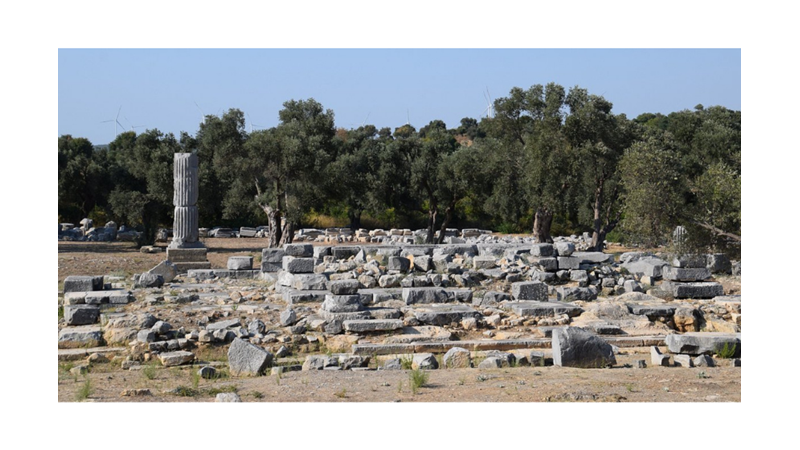 ANADOLU’DA BİR ANTİK KENT: TEOS -Friendz10