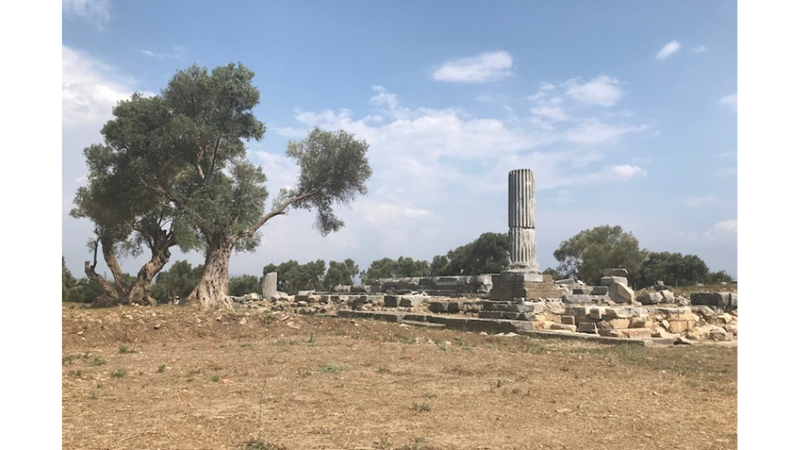 ANADOLU’DA BİR ANTİK KENT: TEOS -Friendz10