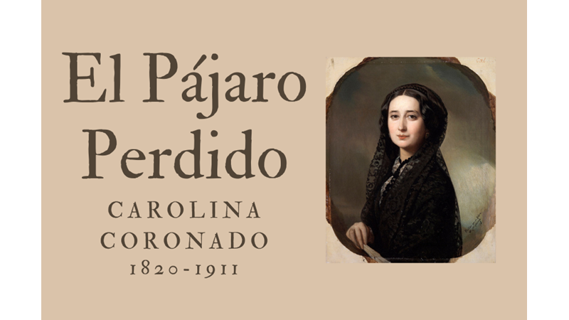 EL PÁJARO PERDIDO