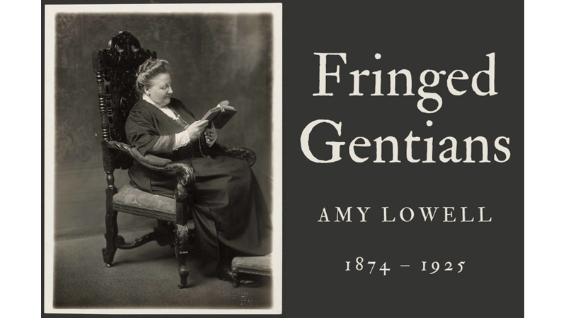 FRINGED GENTIANS - AMY LOWELL - Friendz10
