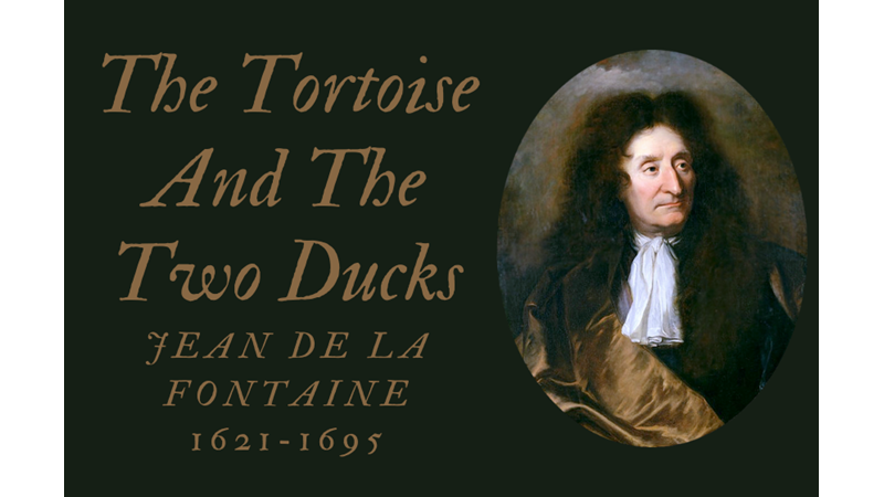 THE TORTOISE AND THE TWO DUCKS