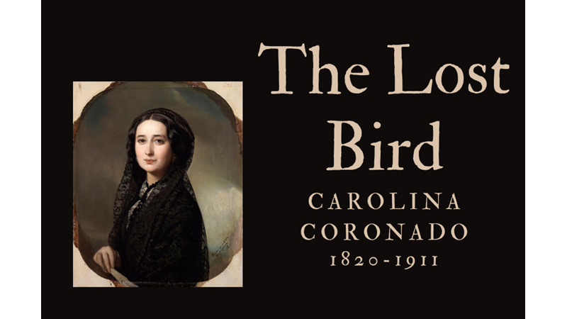 THE LOST BIRD
