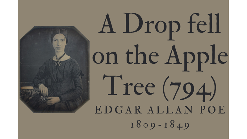 A DROP FELL ON THE APPLE TREE (794)