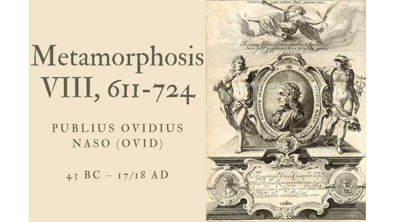 METAMORPHOSIS VIII, 611-724 - PUBLIUS OVIDIUS NASO (OVID)