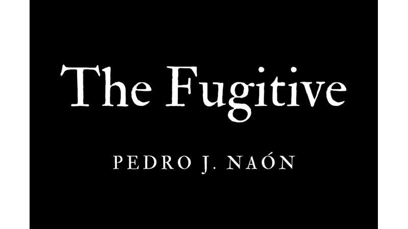 THE FUGITIVE - PEDRO J. NAÓN