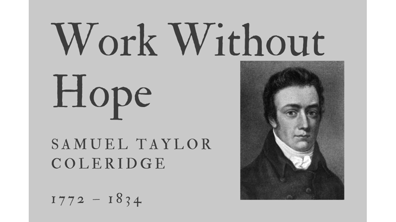 WORK WITHOUT HOPE - SAMUEL TAYLOR COLERIDGE - Friendz10