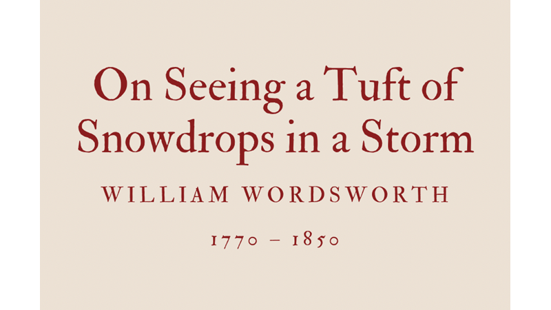 ON SEEING A TUFT OF SNOWDROPS IN A STORM - WILLIAM WORDSWORTH