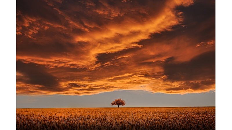 TARİH BOYUNCA TÜM IRKLAR TÜRKLER’İ  NASIL GÖRDÜLER (XII)– Friendz10