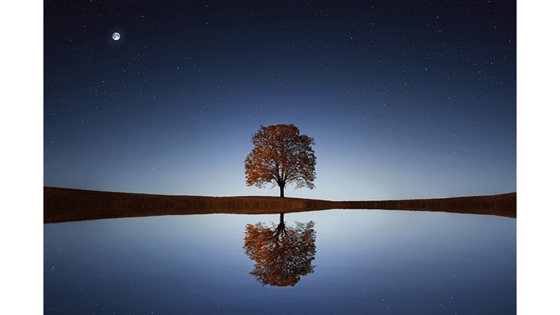 Su Kirliliği ve Su Kaynakları - Friendz10