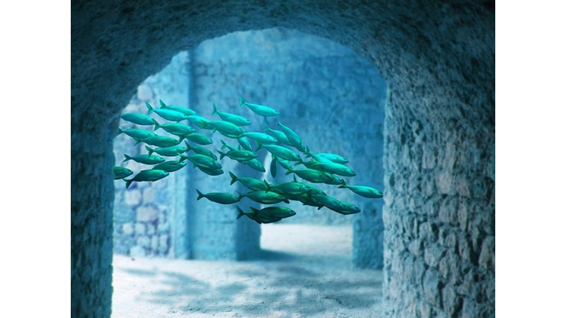 Atlantis Uygarlığı Hakkında Düşünceler (VIII)
