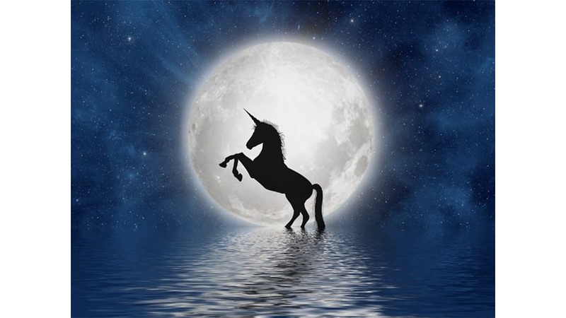 Unicorn Gerçek Olabilir Mi?