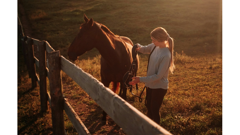 TARAMANIN / TIMARLAMANIN BENCE HAYVANLAR İLE İNSANLAR ÜZERİNDE BÜYÜK BİR ETKİSİ VAR